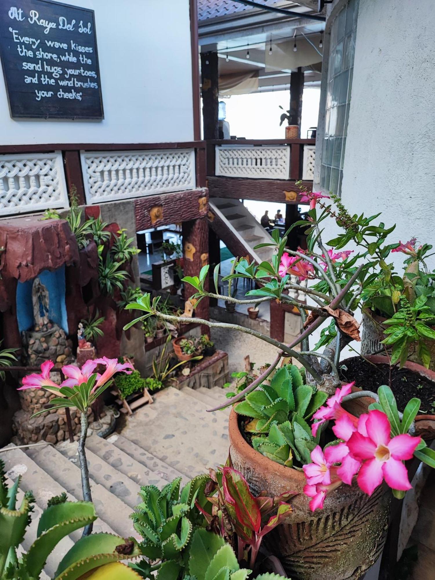 Raya Del Sol Dive Resort Mabini  Luaran gambar